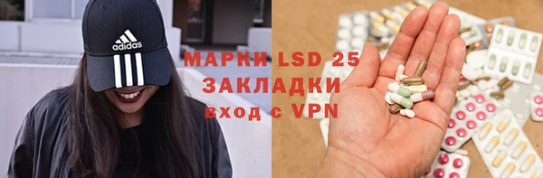 ПСИЛОЦИБИНОВЫЕ ГРИБЫ Алзамай