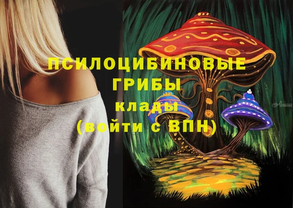 ПСИЛОЦИБИНОВЫЕ ГРИБЫ Алзамай
