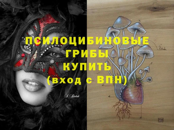 ПСИЛОЦИБИНОВЫЕ ГРИБЫ Алзамай