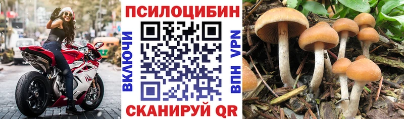 мега зеркало где можно купить наркотик Беслан Псилоцибиновые грибы Psilocybine cubensis