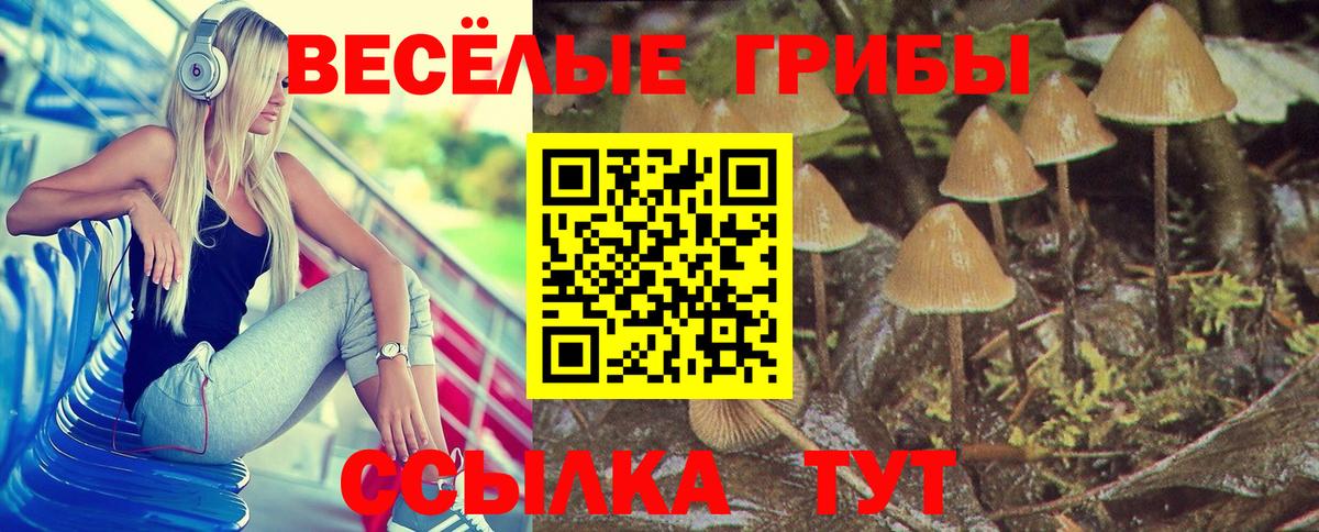 Галлюциногенные грибы ЛСД Беслан