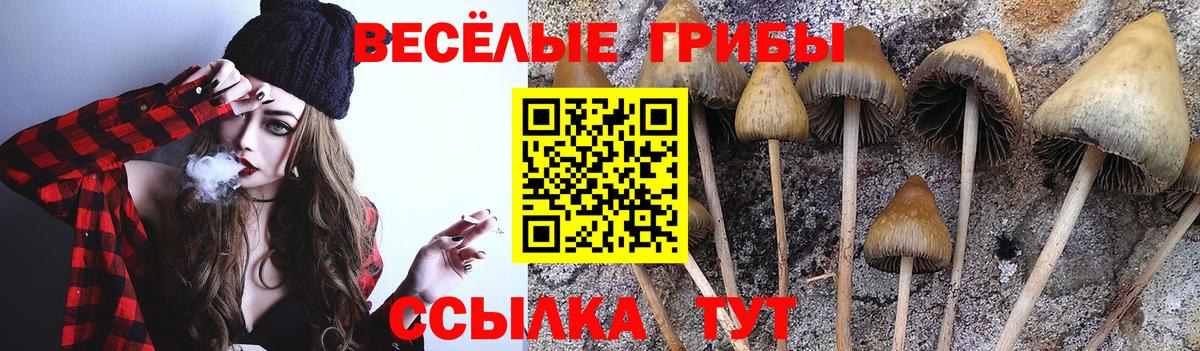купить наркоту  Вход с VPN  Беслан  Галлюциногенные грибы MAGIC MUSHROOMS 
