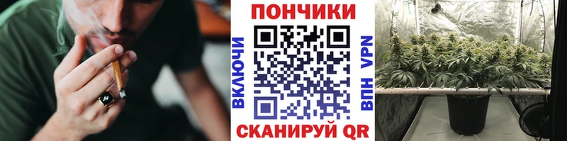 хочу наркоту  Беслан  Канабис марихуана 